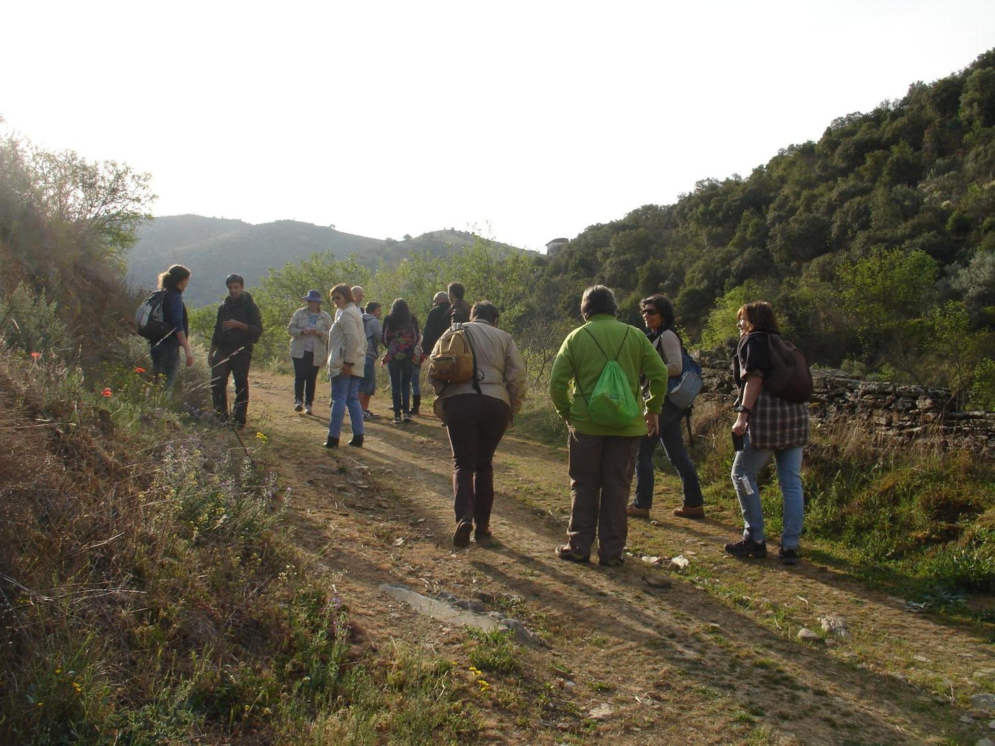 Séjour à la campagne Bairro Do Casal - Turismo D'aldeia